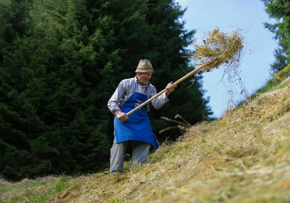 © TVB Hochpustertal, H. Oberhofer